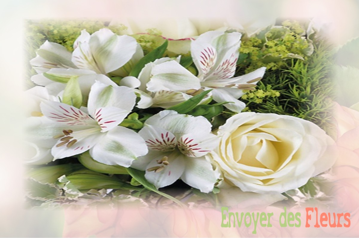 envoyer des fleurs à à VILLENEUVE-SAINT-DENIS