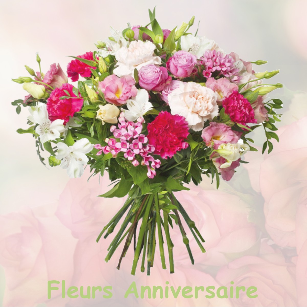 fleurs anniversaire VILLENEUVE-SAINT-DENIS